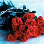 bouquetofroses